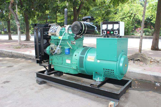 佛罗镇发电机不发电的原因 佛罗镇发电机不发电的原因